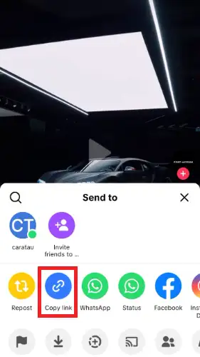 copy-link-video-tiktok
